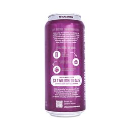 Sparkling Yerba Mate, Blackberry