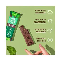 Protein Bar, Chocolate Chip Mint