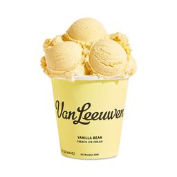 French Ice Cream, Vanilla Bean