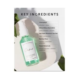 Oasis Deep Pore Gel Cleanser