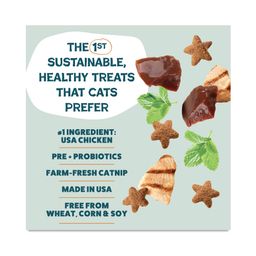 Catnip N Chill Crunchy Cat Treats, Chicken Liver, Value Size