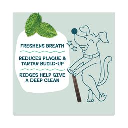 Mini Dental Sticks Dog Treats, Mighty Mint