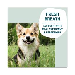 Mini Dental Sticks Dog Treats, Mighty Mint