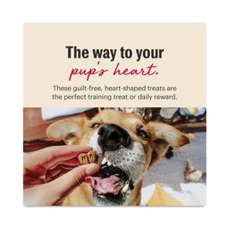 Parmesan Pecks Dog Treats, Beef, Parmesan & Blueberry