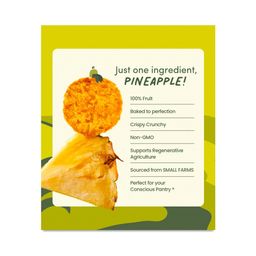 Crispy Crunchy Pineapple Chips