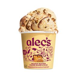 Peanut Butter Fudge Honeycomb Ice Cream