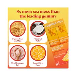 Sea Moss Refresher, Citrus Blossom