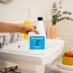 Toilet Bowl Cleaner, Eucalyptus