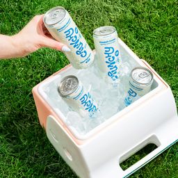 Sparkling Wellness Water Hydration + Calm, Pineapple Coconut