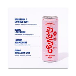 Sparkling Wellness Water Hydration + Gut Health, Raspberry