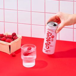 Sparkling Wellness Water Hydration + Gut Health, Raspberry