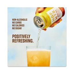 Non-Alcoholic Sparkling Hop Tea, Iced Tea & Lemonade