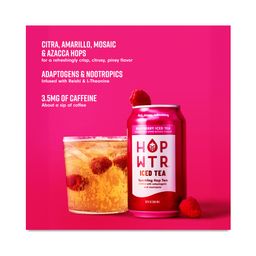 Non-Alcoholic Sparkling Hop Tea, Raspberry Iced Tea