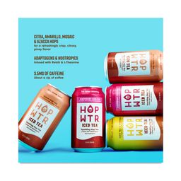 Non-Alcoholic Sparkling Hop Tea, Variety Pack