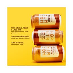 Non-Alcoholic Sparkling Hop Tea, Peach Iced Tea