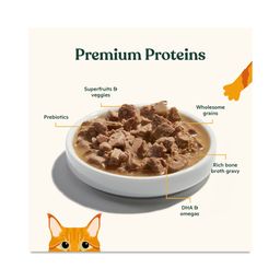 Cuts in Gravy with Bone Broth Wet Cat Food, Variety Pack