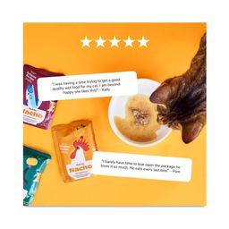 Cuts in Gravy with Bone Broth Wet Cat Food, Variety Pack