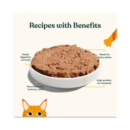 Pate Wet Cat Food, Variety Pack