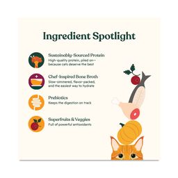 Pate Wet Cat Food, Variety Pack