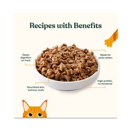 Minced Wet Cat Food, Variety Pack