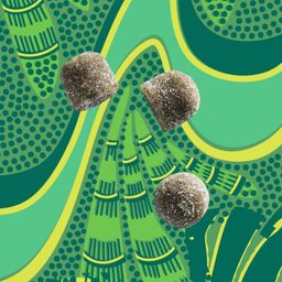 Moringa & Super Greens Gummies, Green Apple