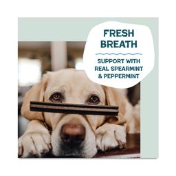 Dental Sticks Dog Treats, Mighty Mint, Value Size