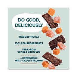 Jerky Bites Dog Treats, Salmon Loves Butternut, Value Size