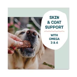 Jerky Bites Dog Treats, Salmon Loves Butternut, Value Size