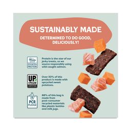 Jerky Bites Dog Treats, Salmon Loves Butternut, Value Size