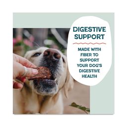 Jerky Bites Dog Treats, Duck-Tato, Value Size