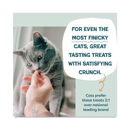 Catnip N Chill Crunchy Cat Treats, Chicken Liver