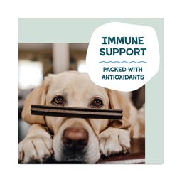 Dental Sticks Dog Treats, The Tooth Berry, Value Size