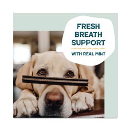 Dental Sticks Dog Treats, Banana Bone-anza, Value Size