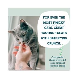 Catnip N Chill Crunchy Cat Treats, Chicken, Value Size