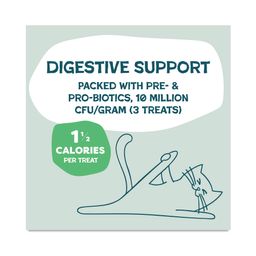 Catnip N Chill Crunchy Cat Treats, Chicken, Value Size