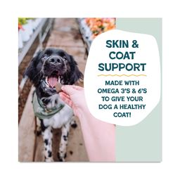 Soft-Baked Biscuit Dog Treats, Bananas for Bacon, Value Size