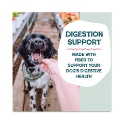 Soft-Baked Biscuit Dog Treats, Duck Duck Beet