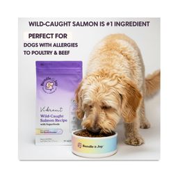 Vibrant Wild-Caught Salmon Dry Dog Food