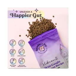 Vibrant Wild-Caught Salmon Dry Dog Food