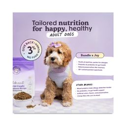 Vibrant Wild-Caught Salmon Dry Dog Food