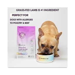 Brave Grass-Fed Lamb Dry Dog Food