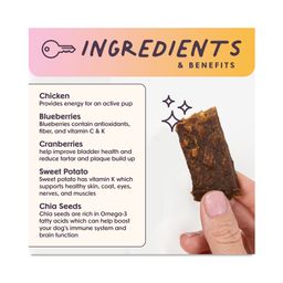 Rise & Shine Chicken Superfood Jerky Bars for Dogs