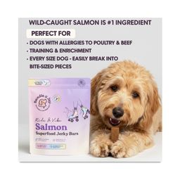 Ride & Vibe Salmon Superfood Jerky Bars for Dogs