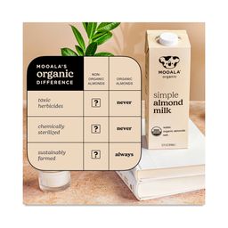 Simple Almond Milk