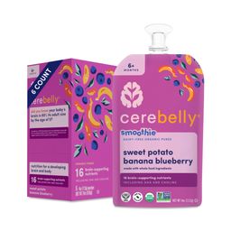 Organic Baby Smoothie, Sweet Potato Banana Blueberry