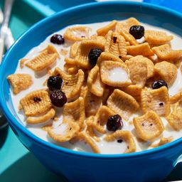 Protein Cereal, Blueberry Muffin