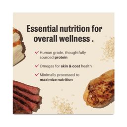 Essential Clusters Whole Grain Dry Dog Food, Beef & Chicken