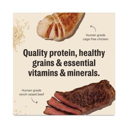 Essential Clusters Whole Grain Dry Dog Food, Beef & Chicken