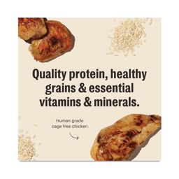 Essential Clusters Whole Grain Dry Dog Food, Chicken