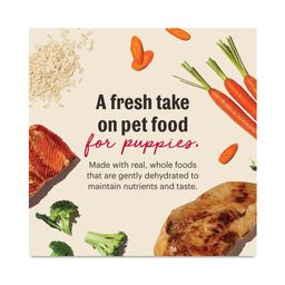 Wholemade Whole Grain Chicken & Salmon Dehydrated Puppy Food